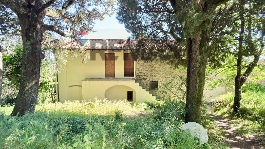 casa indipendente in vendita a Vinci in zona Sant'Amato