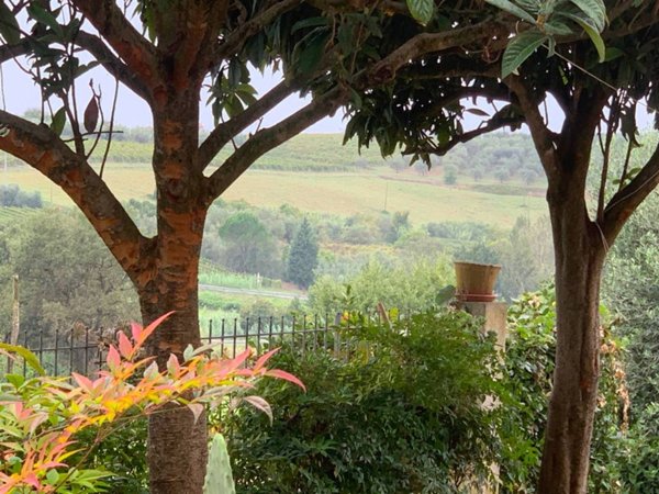 casa indipendente in vendita a Vinci