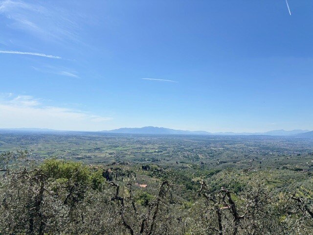 terreno agricolo in vendita a Vinci in zona Faltognano