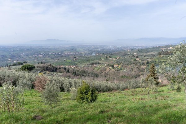 terreno agricolo in vendita a Vinci in zona Sovigliana