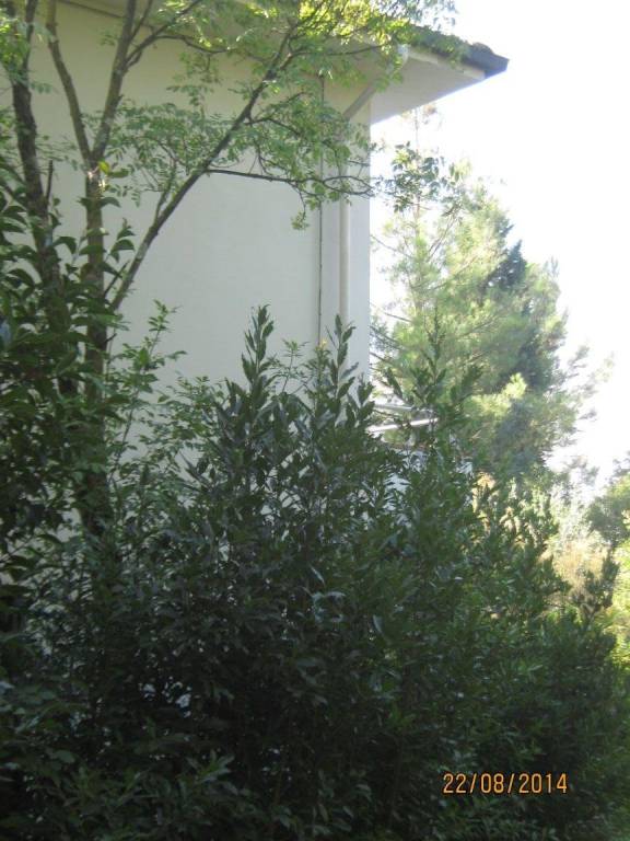 casa indipendente in vendita a Vinci in zona Sovigliana