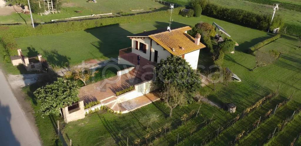 casa indipendente in vendita a Vinci in zona Piccaratico