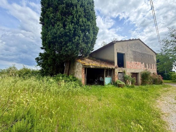 esavano in vendita a Vinci in zona Sovigliana