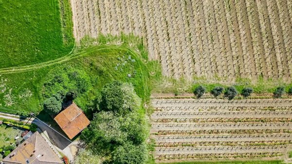 casa indipendente in vendita a Vinci in zona Sovigliana