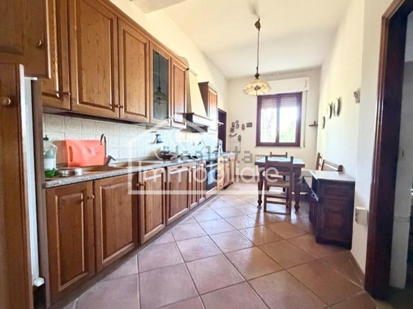 casa indipendente in vendita a Vinci in zona Sovigliana