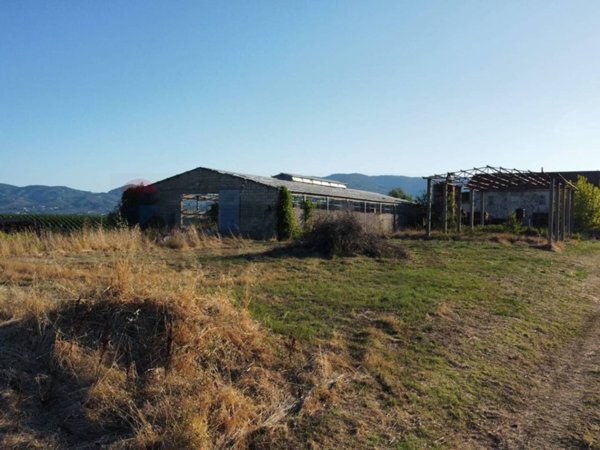 terreno agricolo in vendita a Vinci in zona San Pantaleo