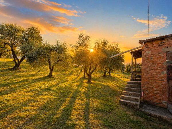 casa indipendente in vendita a Vinci in zona Sovigliana