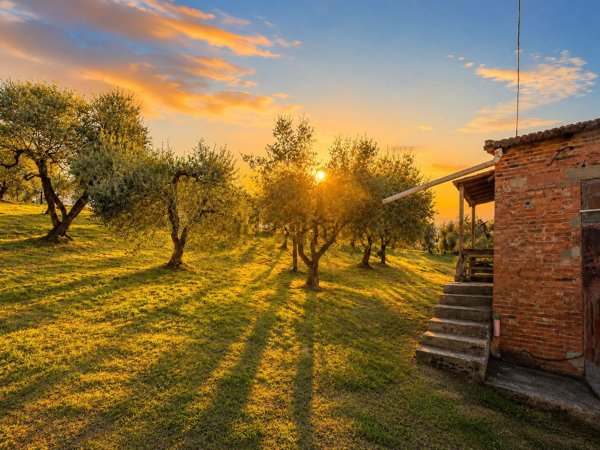 esavano in vendita a Vinci in zona Sovigliana
