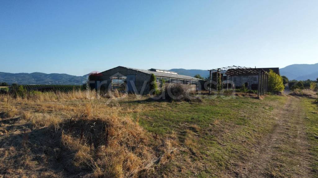 terreno agricolo in vendita a Vinci in zona San Pantaleo