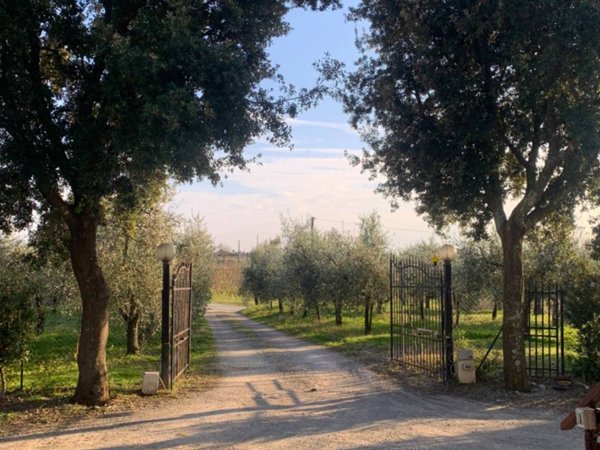 appartamento in vendita a Vinci