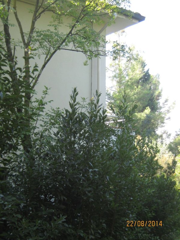 casa indipendente in vendita a Vinci in zona Spicchio