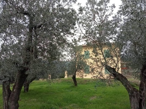 casa indipendente in vendita a Vinci in zona Anchiano