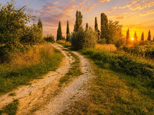 terreno agricolo in vendita a Vinci in zona San Pantaleo