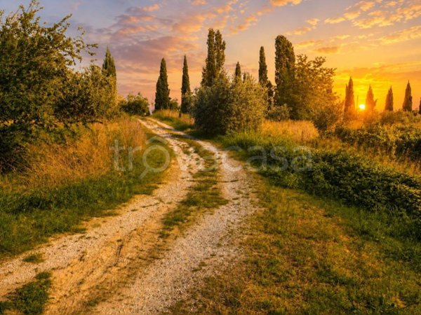 terreno agricolo in vendita a Vinci