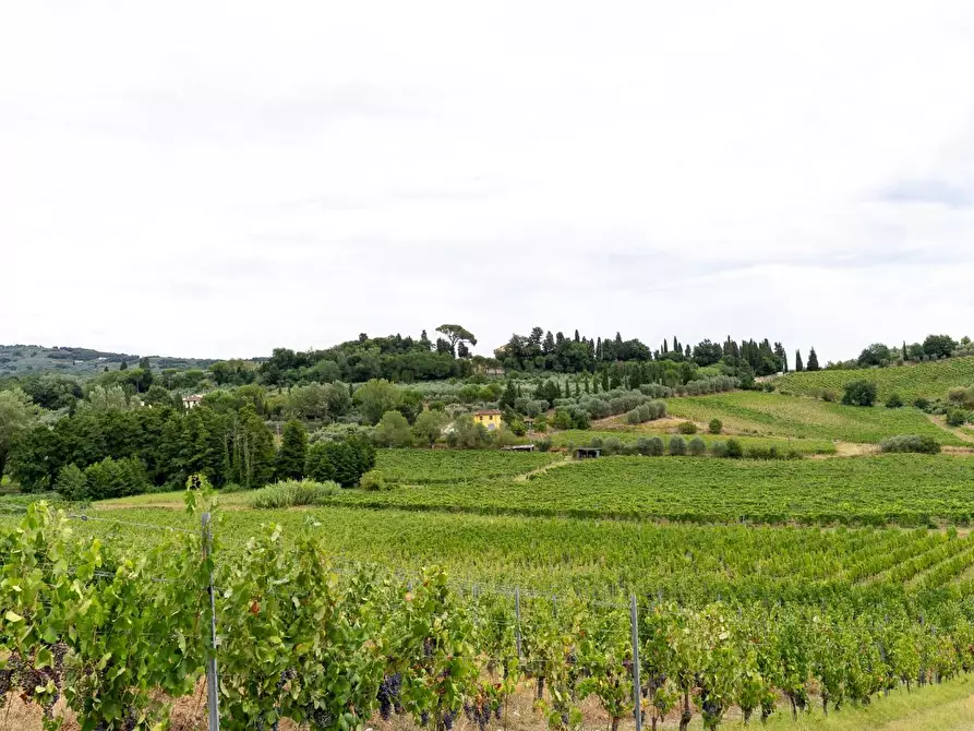 azienda agricola in vendita a Vinci