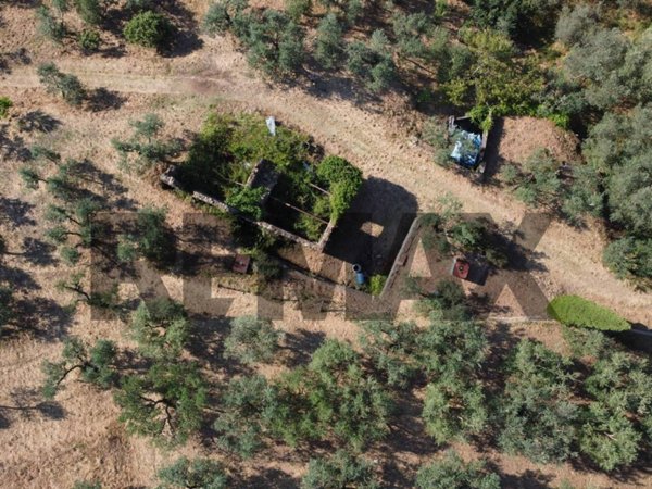 casa indipendente in vendita a Vinci in zona Vitolini