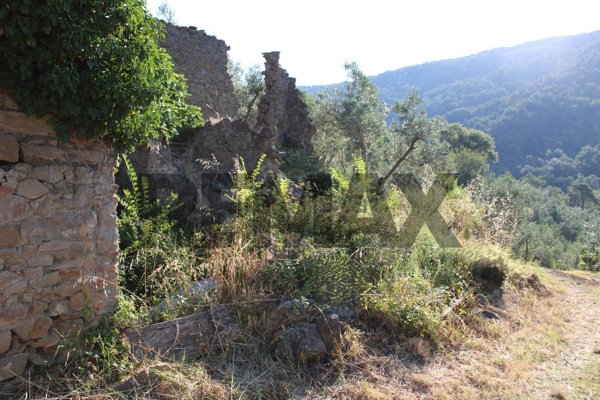 quadrivano in vendita a Vinci in zona Vitolini