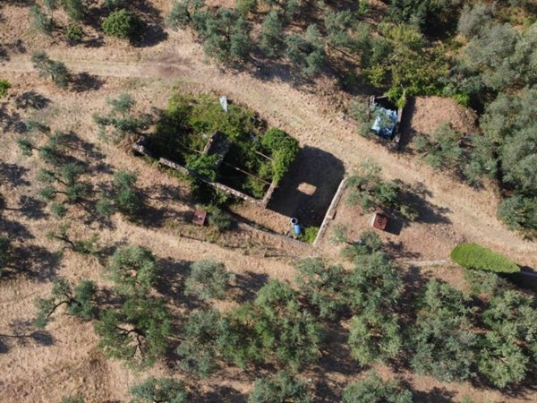 casa indipendente in vendita a Vinci in zona Vitolini