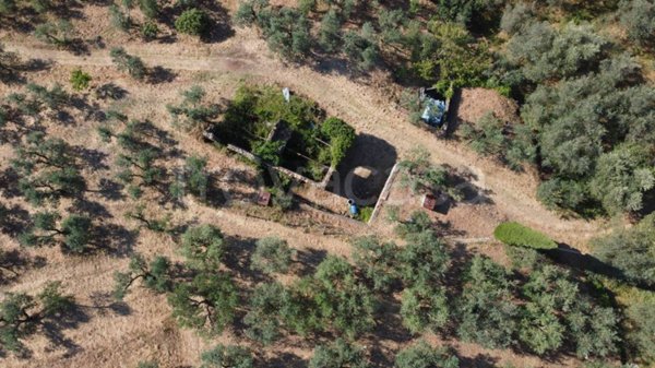 casa indipendente in vendita a Vinci in zona Vitolini