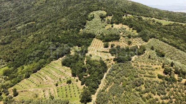 terreno agricolo in vendita a Vinci in zona Collegonzi