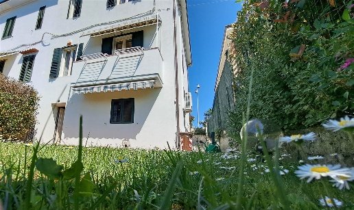 casa indipendente in vendita a Vinci in zona Vitolini