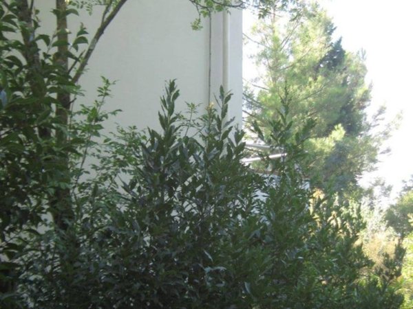 casa indipendente in vendita a Vinci in zona Spicchio