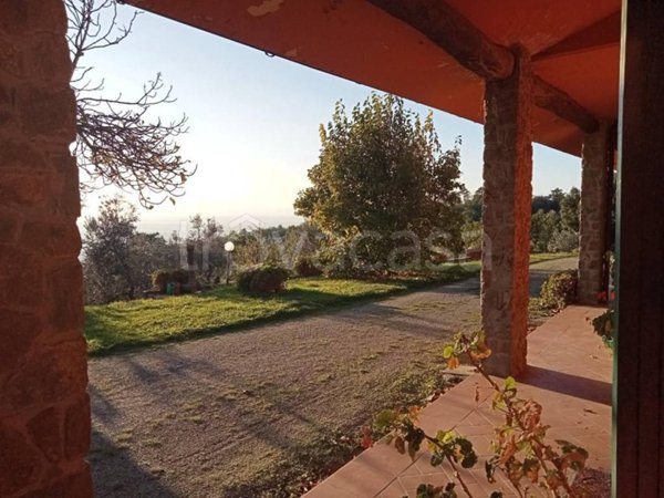 casa indipendente in vendita a Vinci in zona Vitolini