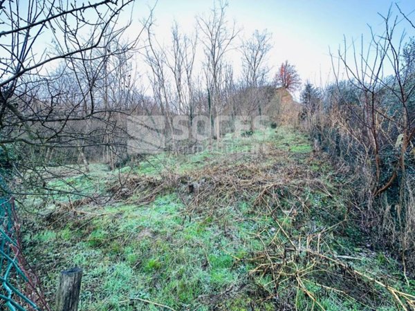 terreno agricolo in vendita a Figline e Incisa Valdarno in zona Figline Valdarno