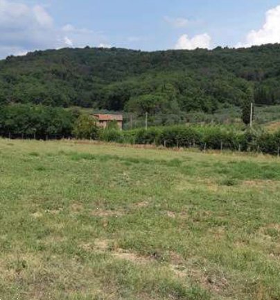 terreno agricolo in vendita a Figline e Incisa Valdarno in zona Figline Valdarno