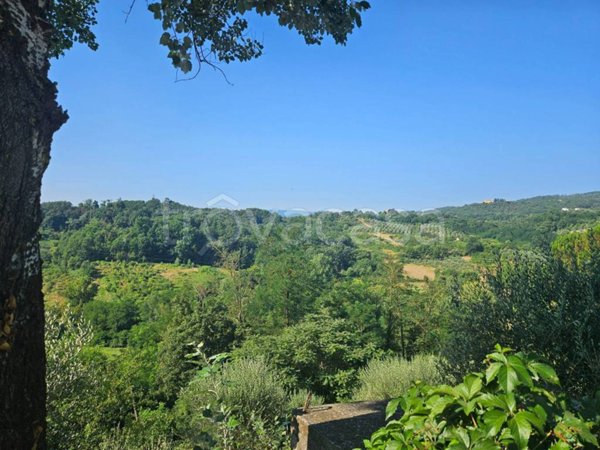 terreno agricolo in vendita a Figline e Incisa Valdarno