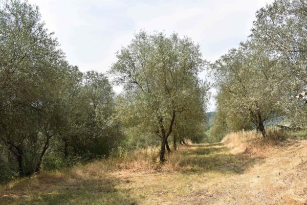 terreno agricolo in vendita a Figline e Incisa Valdarno