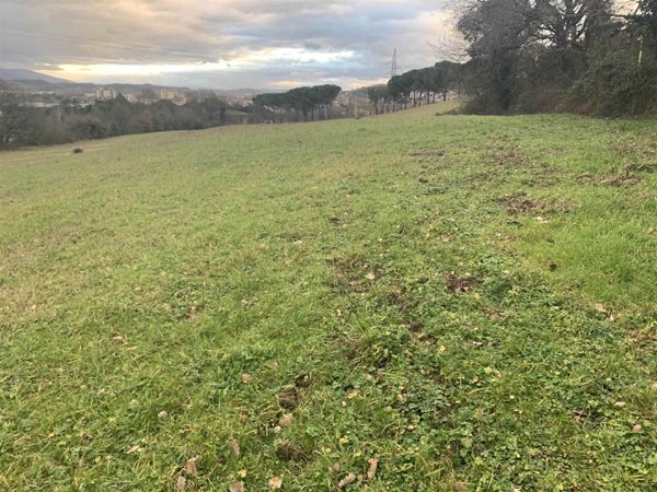terreno agricolo in vendita a Figline e Incisa Valdarno