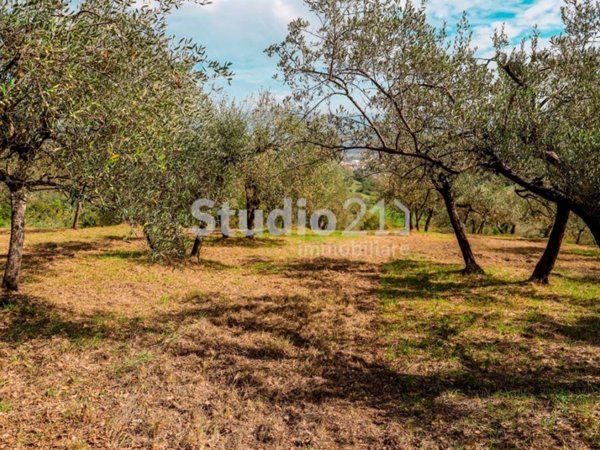 terreno agricolo in vendita a Figline e Incisa Valdarno in zona Loppiano