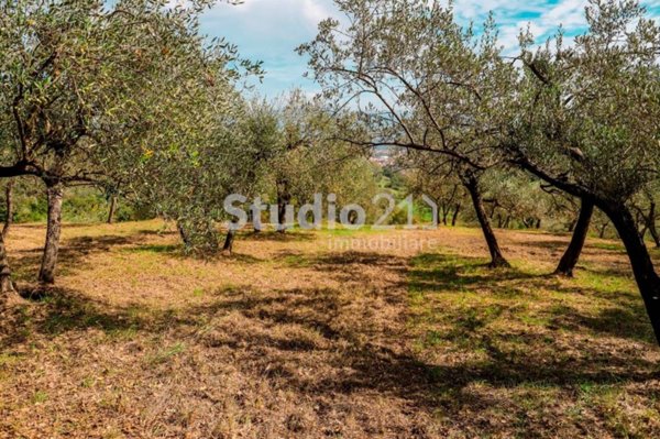 terreno agricolo in vendita a Figline e Incisa Valdarno in zona Figline Valdarno