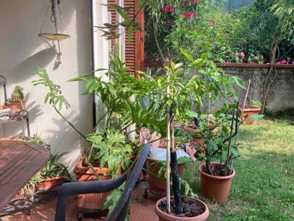 casa indipendente in vendita a Figline e Incisa Valdarno in zona Brollo
