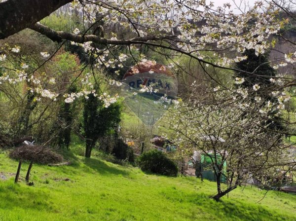 terreno agricolo in vendita a Figline e Incisa Valdarno