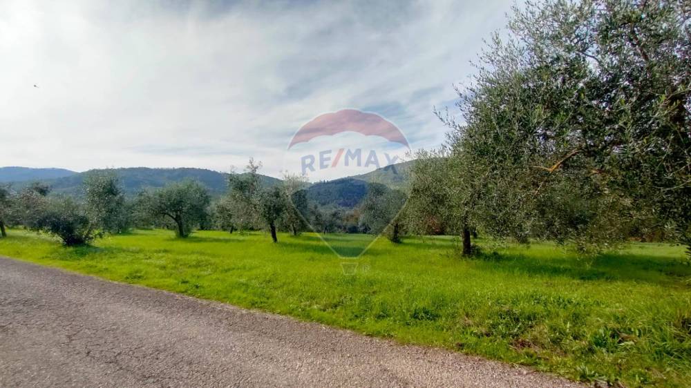 terreno agricolo in vendita a Figline e Incisa Valdarno in zona Loppiano