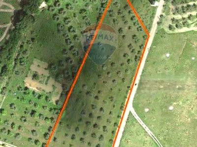 terreno agricolo in vendita a Figline e Incisa Valdarno in zona Loppiano