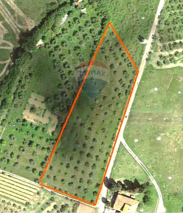 terreno agricolo in vendita a Figline e Incisa Valdarno in zona Loppiano