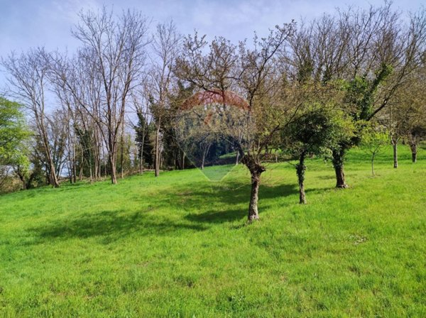 terreno agricolo in vendita a Figline e Incisa Valdarno
