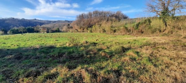 terreno agricolo in vendita a Figline e Incisa Valdarno