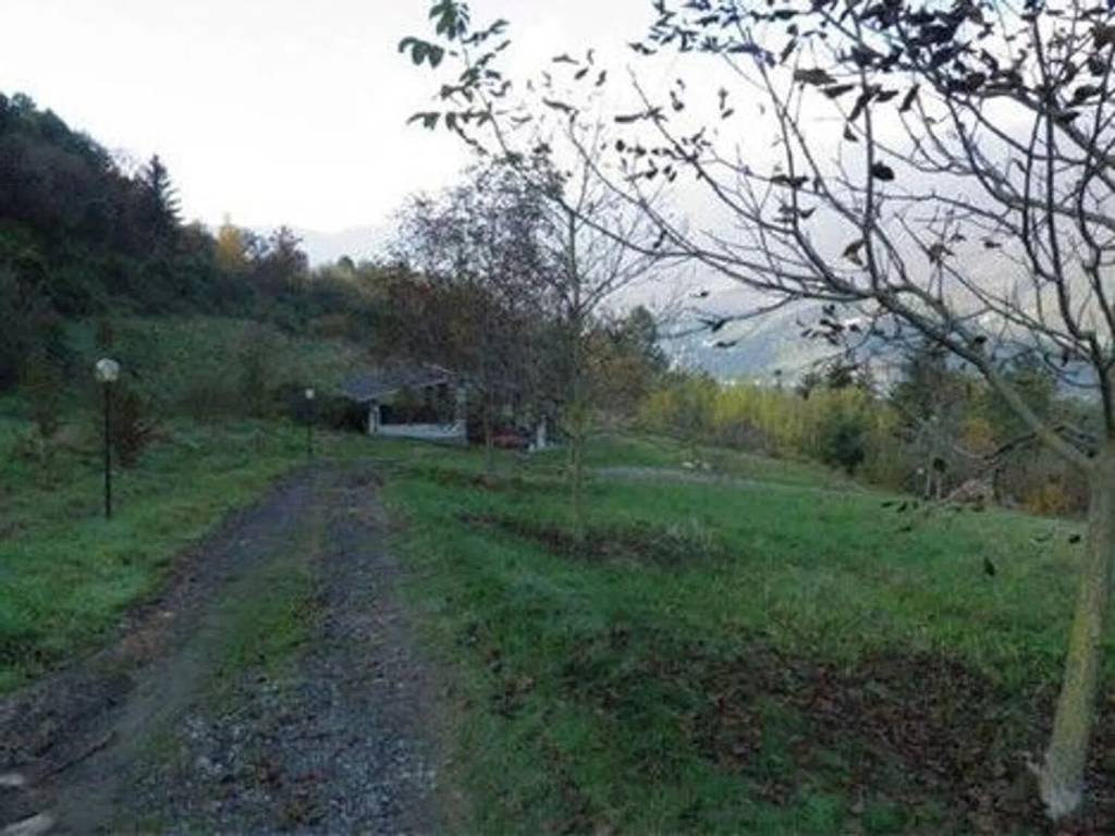 terreno agricolo in vendita a Figline e Incisa Valdarno in zona Figline Valdarno