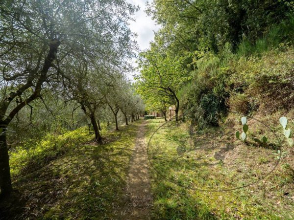 casa indipendente in vendita a Figline e Incisa Valdarno in zona Loppiano