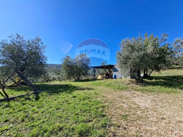 terreno agricolo in vendita a Figline e Incisa Valdarno in zona Loppiano