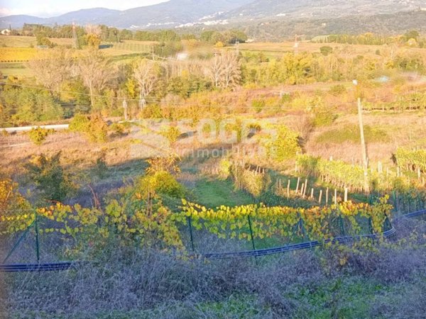 terreno agricolo a Figline e Incisa Valdarno in zona Santa Maria Maddalena