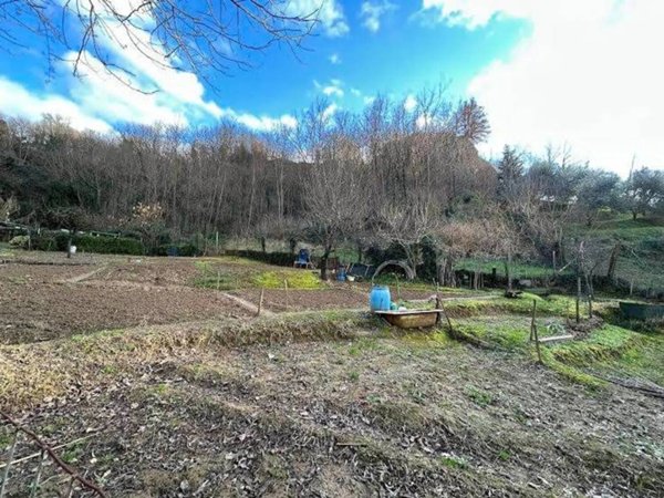 terreno agricolo a Figline e Incisa Valdarno in zona Incisa in Val d'Arno