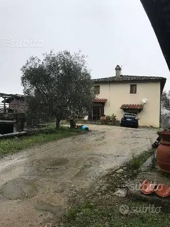 terreno agricolo in vendita a Figline e Incisa Valdarno