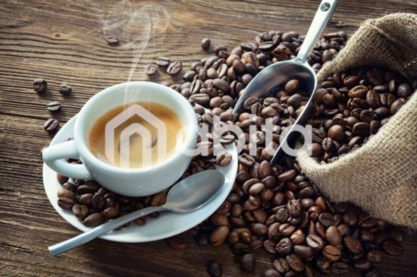 negozio in vendita a Figline e Incisa Valdarno in zona Figline Valdarno