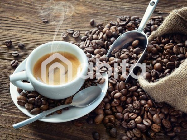 negozio in vendita a Figline e Incisa Valdarno in zona Figline Valdarno