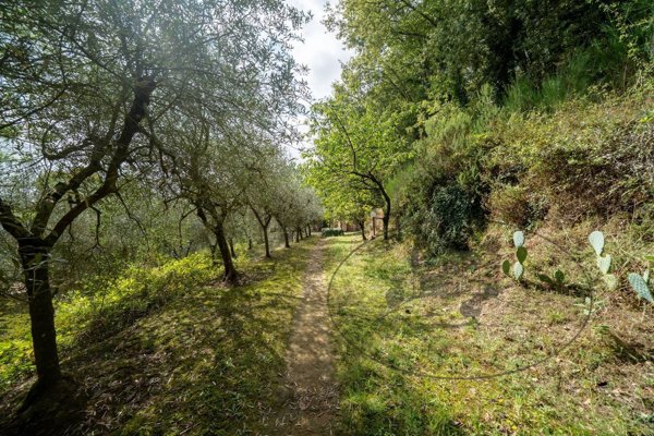 casa indipendente a Figline e Incisa Valdarno in zona Figline Valdarno